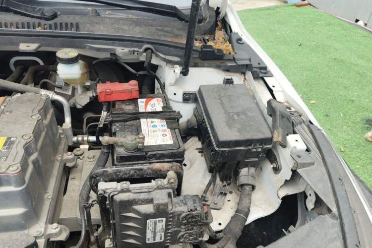 Used Geometry A 2019 Upgraded Model High-Resolution Standard Range Square Edition Engine Bay Left