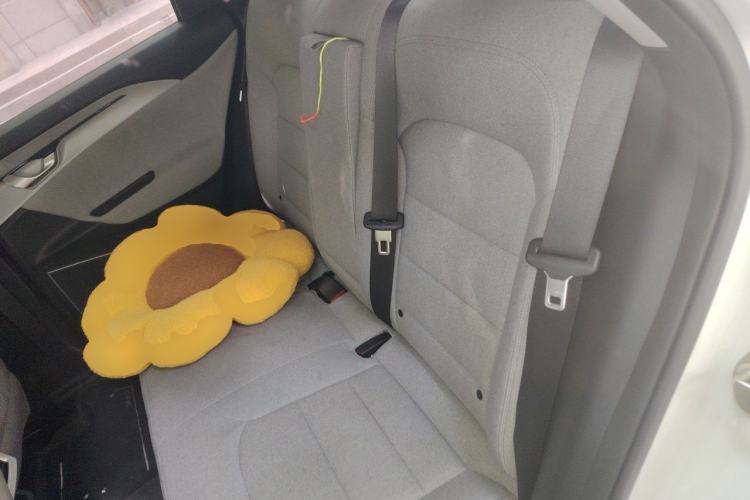 Used Geometry A 2019 High-Performance Standard Range Power Edition Left Rear Seat