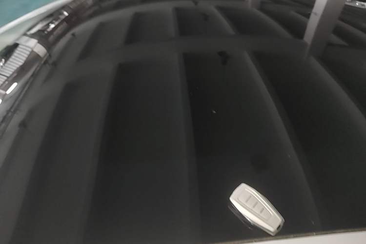 Used Geometry A 2019 High-Performance Standard Range Power Edition Roof