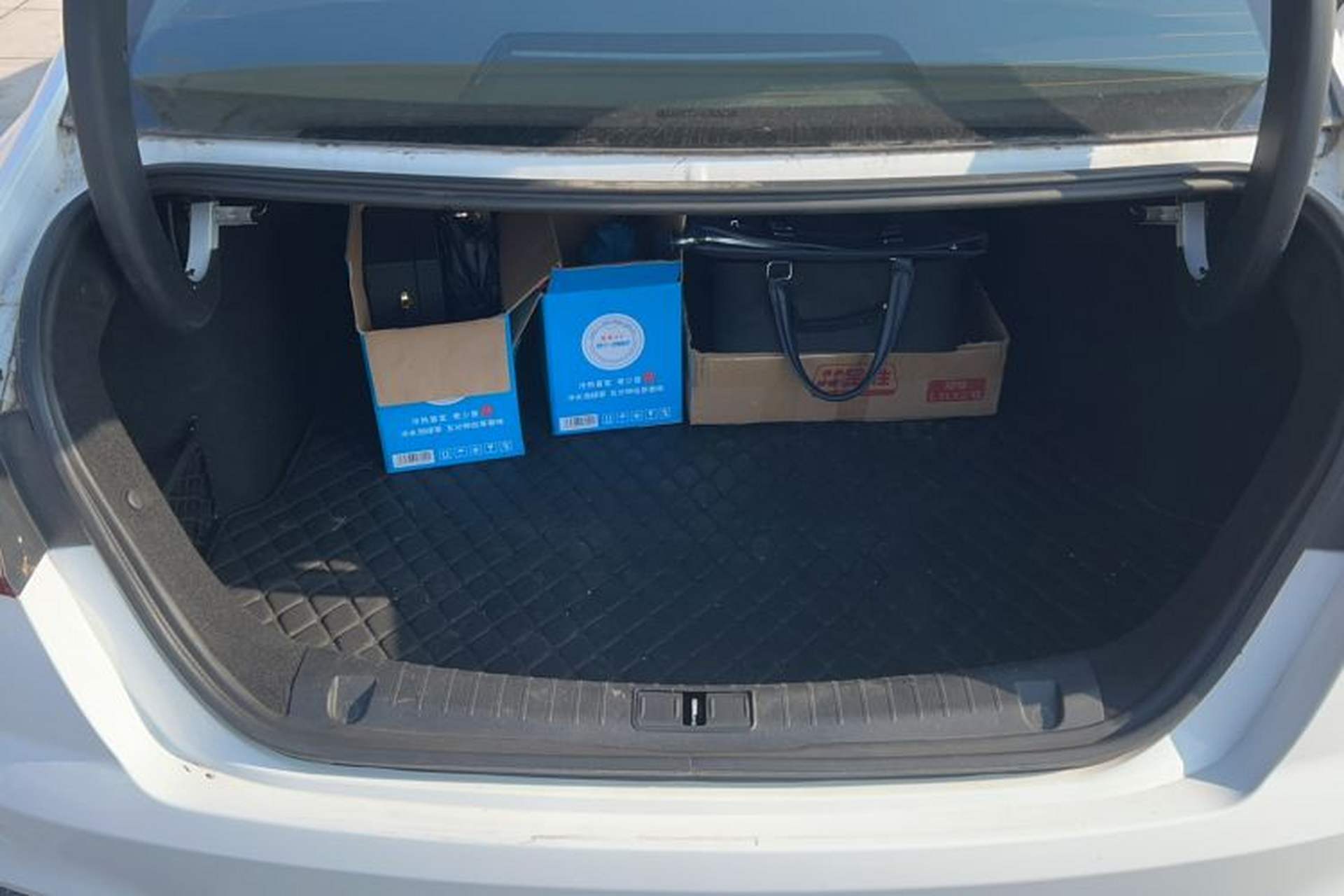 Used Geometry A 2019 High-Performance Standard Range Power Edition Trunk