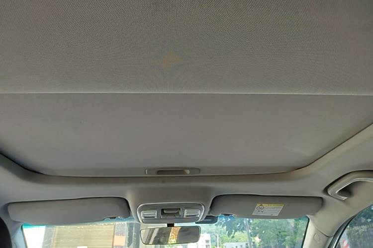 Used Geometry A 2021 Pro Enhanced High-Efficiency Range Version 600 km A600 Cubic Edition Headliner