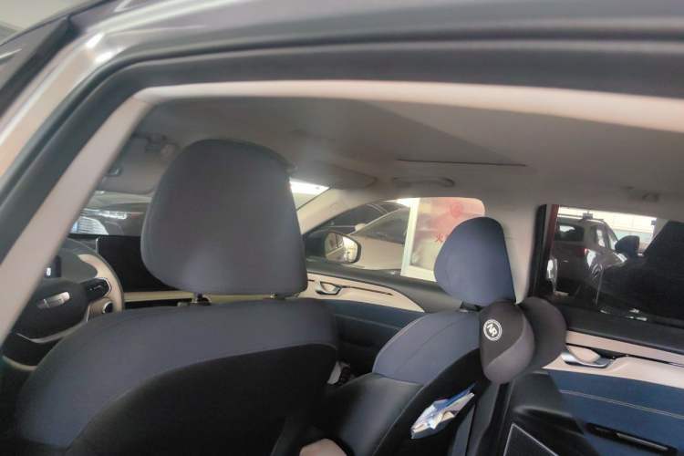 Used Geometry A 2021 Pro Enhanced High-Efficiency Range Version 600 km A600 Cubic Edition Headliner