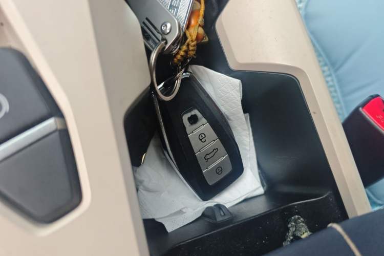 Used Geometry A 2021 Pro Enhanced High-Efficiency Range Version 600KM A600 Asian Games Edition Interior 1