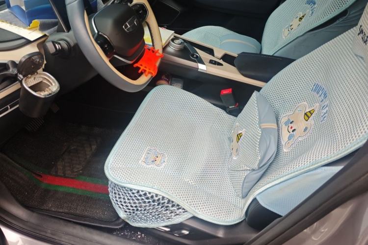 Used Geometry A 2021 Pro Enhanced High-Efficiency Range Version 600KM A600 Asian Games Edition Left Front Seat