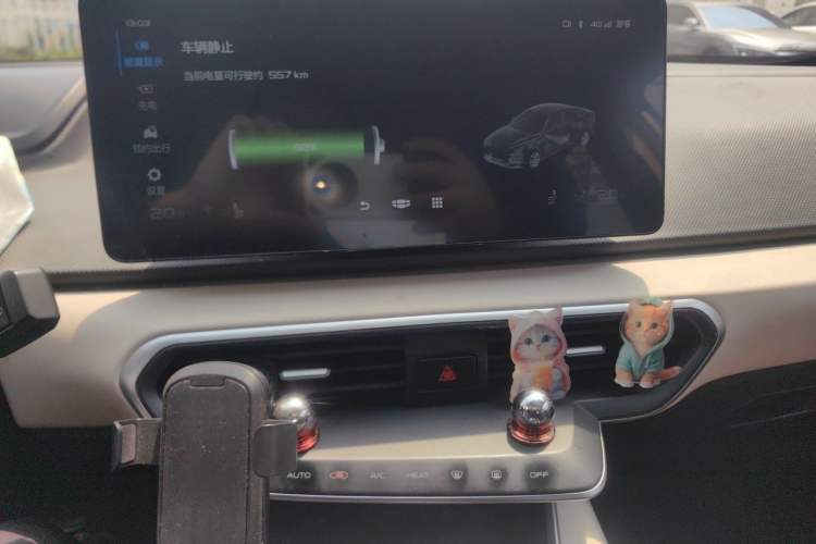 Used Geometry A 2021 Pro Enhanced High-Efficiency Range Version 600KM A600 Asian Games Edition Audio And AC Panel