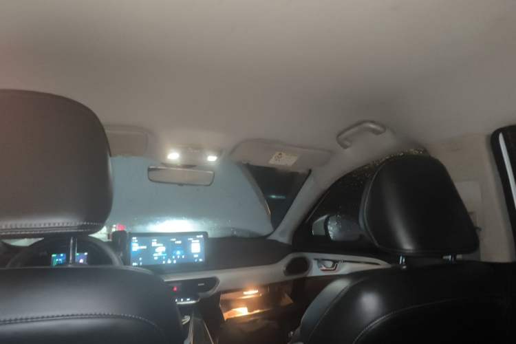 Used Geometry A 2021 Pro Enjoy High-Dimensional Range Edition 430 km A430 Cubic Version Headliner