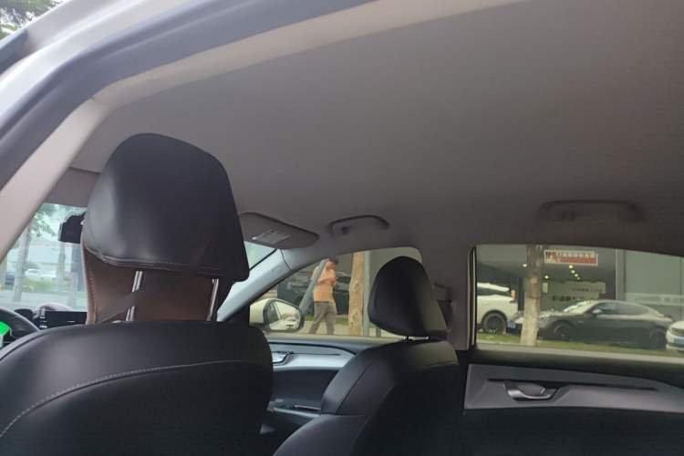 Used Geometry A 2021 Pro Enjoy High-Dimensional Range Edition 430 km A430 Square Version Headliner