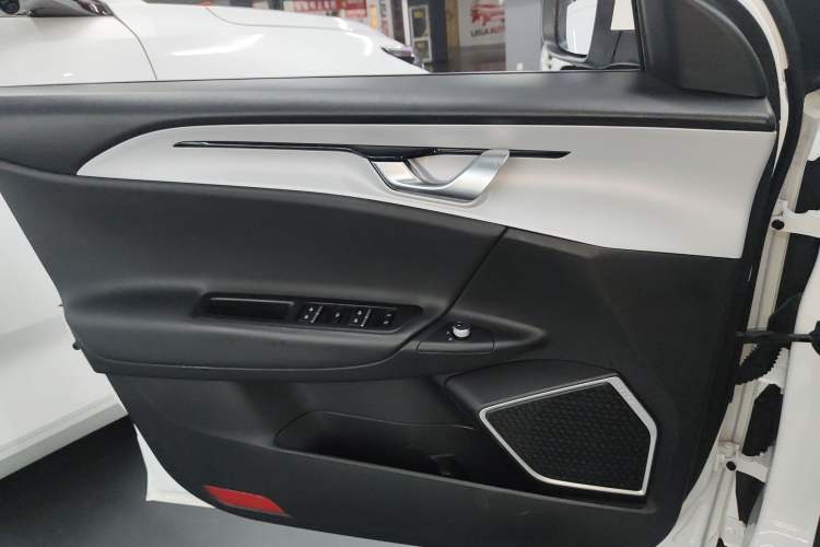 Used Geometry A 2021 Pro Enjoy High-Dimensional Range Edition 430 km A430 Square Version Left Front Door Interior