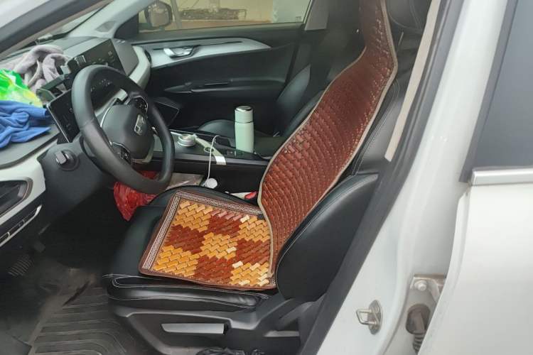 Used Geometry A 2021 Pro Enjoy High-Dimensional Range Edition 430 km A430 Square Version Left Front Seat