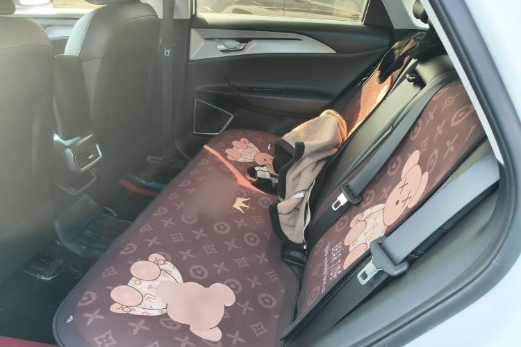 Used Geometry A 2021 Pro Enjoy High-Dimensional Range Edition 430 km A430 Square Version Left Rear Seat