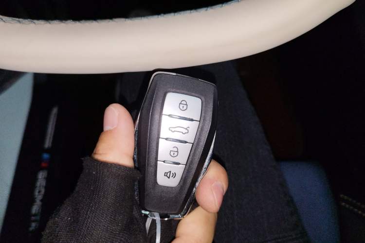 Used Geometry A 2022 Pro 600KM Red Apple Plus Vehicle Key