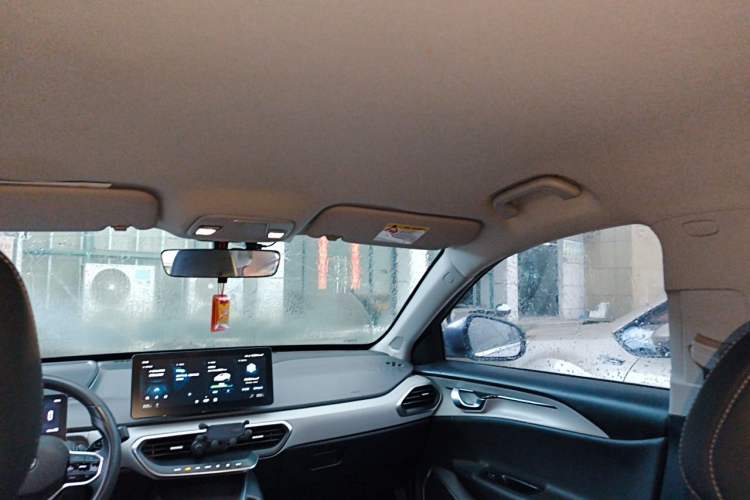 Used Geometry A 2022 Pro 430KM Business Edition Headliner
