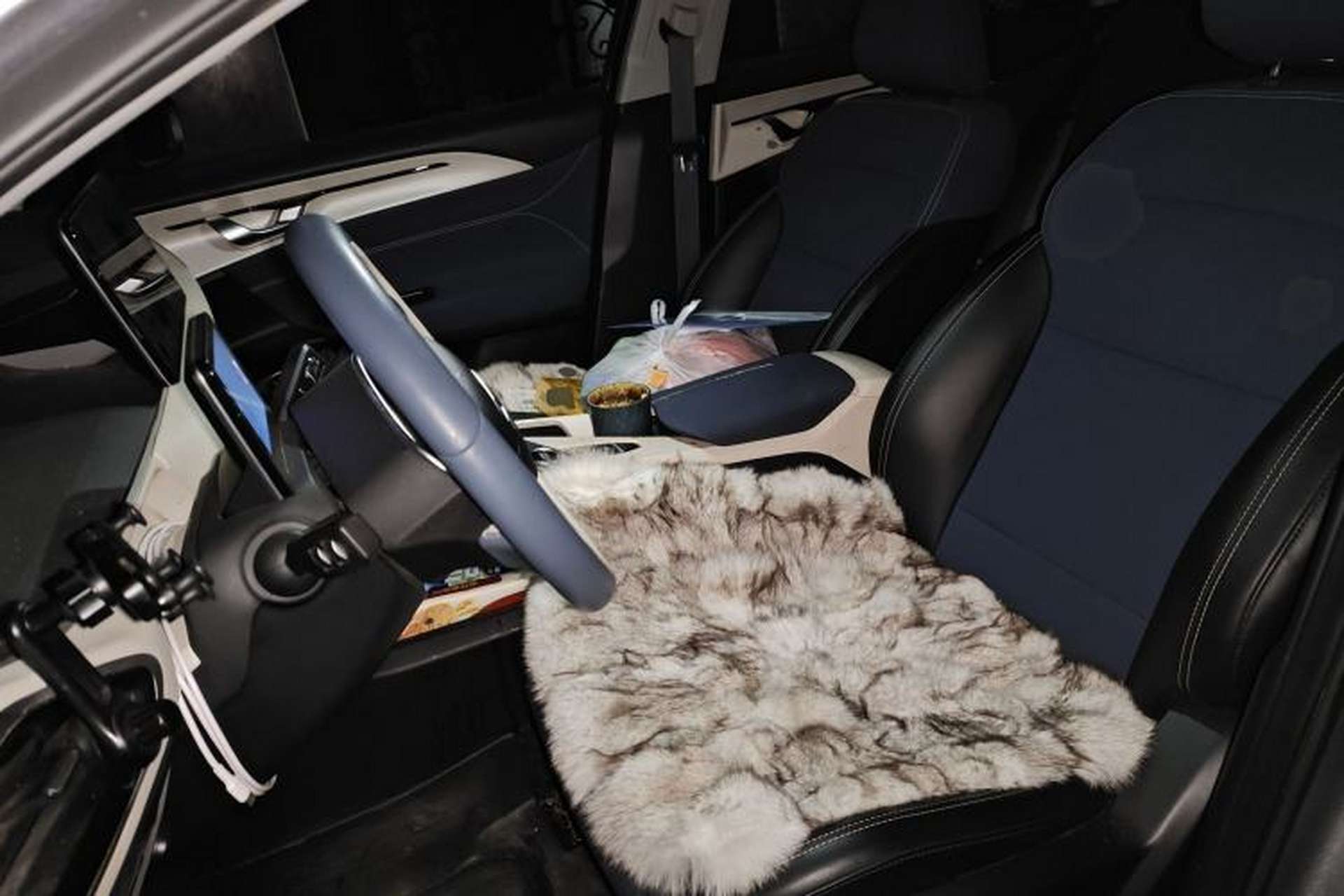 Used Geometry A 2022 Pro 600KM Red Apple Plus Left Front Seat