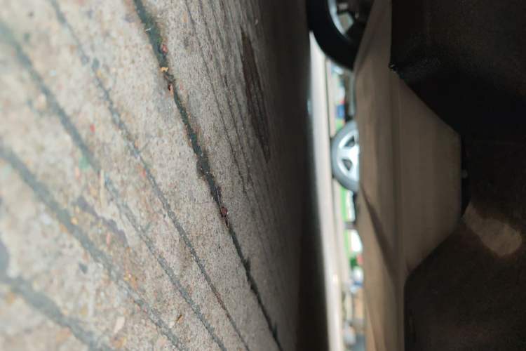 Used Geometry A 2022 Pro 430KM Green Apple Pro Chassis Rear Right