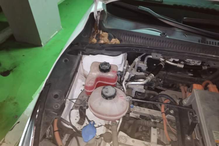 Used Geometry A 2022 Pro 430KM Green Apple Pro Engine Bay Right