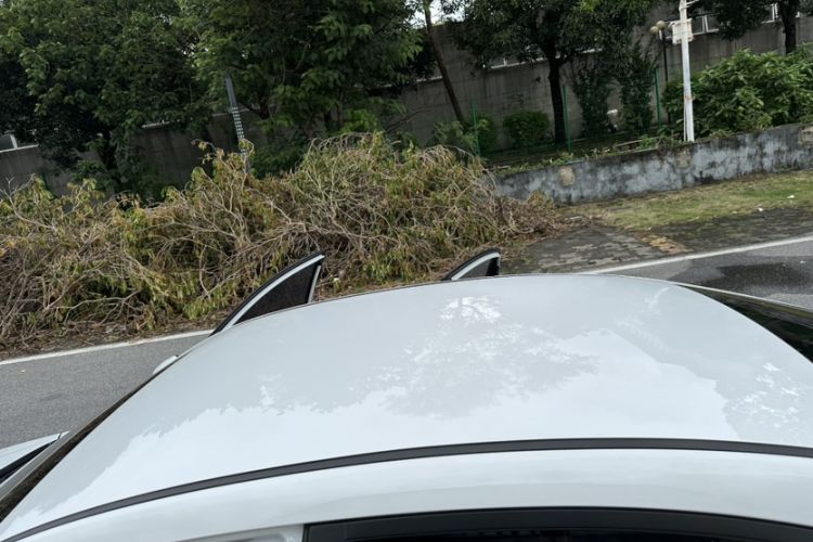 Used Geometry A 2022 Pro 430KM Green Apple Pro Roof