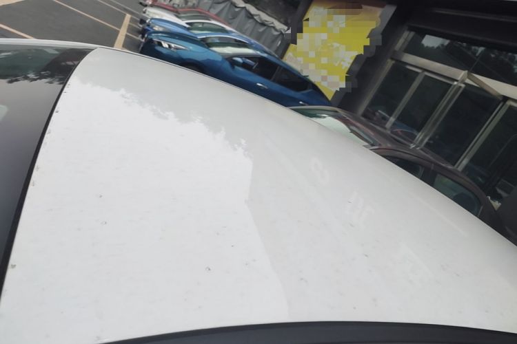 Used Geometry A 2022 Pro 430KM Commuter Edition Roof