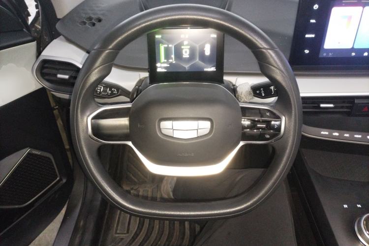 Used Geometry A 2024 410KM Travel Edition Steering Wheel