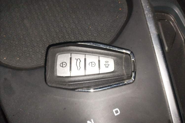 Used Geometry A 2024 410KM Travel Edition Vehicle Key