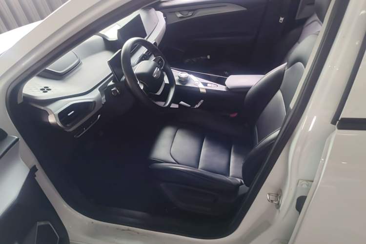 Used Geometry A 2024 410KM Travel Edition Left Front Seat
