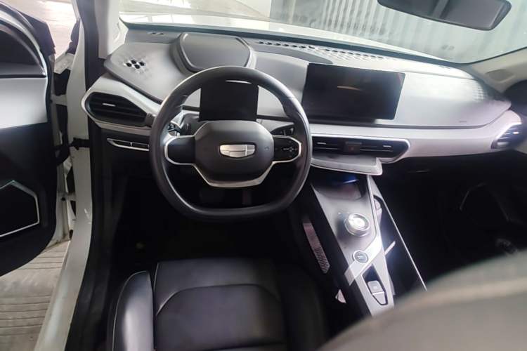 Used Geometry A 2024 410KM Travel Edition Steering Wheel