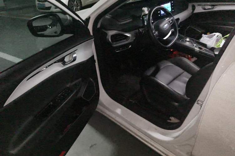 Used Geometry A 2024 410KM Travel Edition Driver Seat