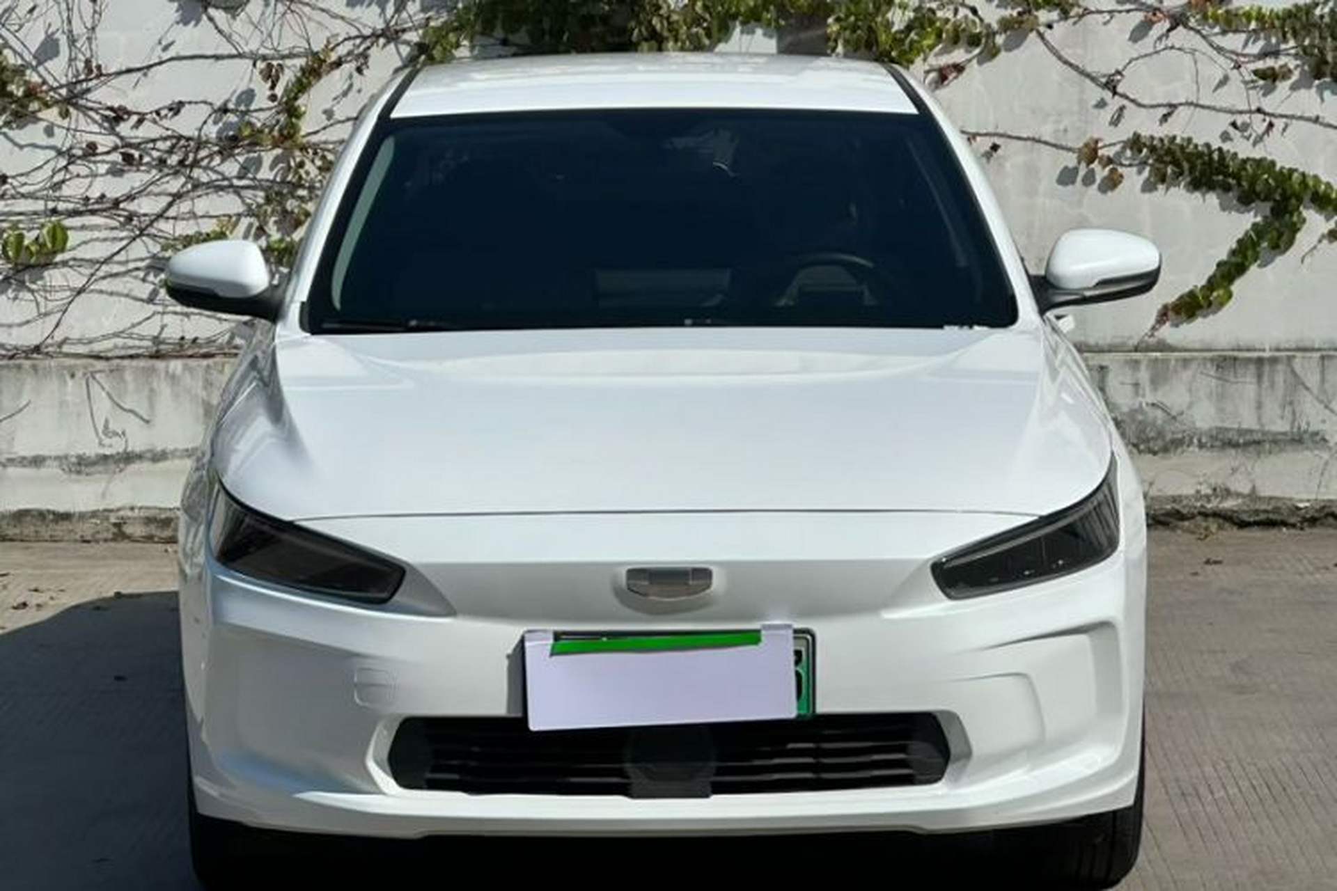 Used Geometry A 2024 410KM Travel Edition Exterior 3