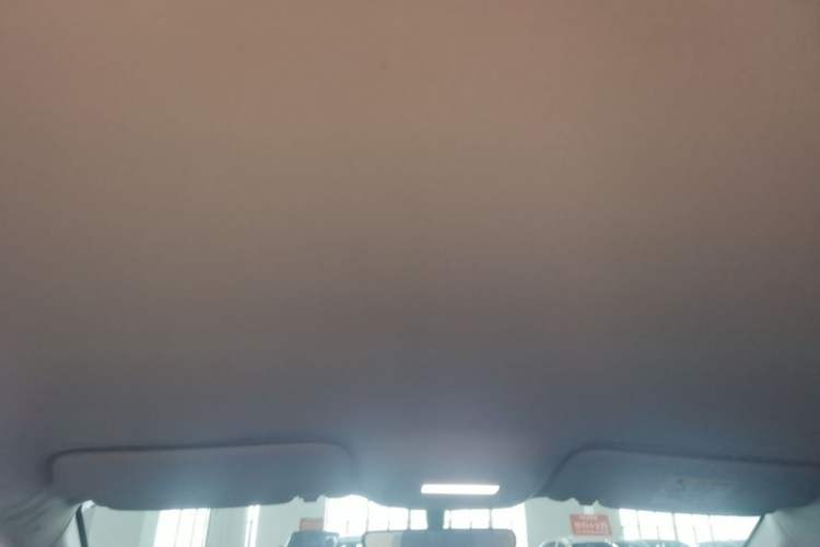 Used Geometry A 2024 410KM Travel Edition Headliner