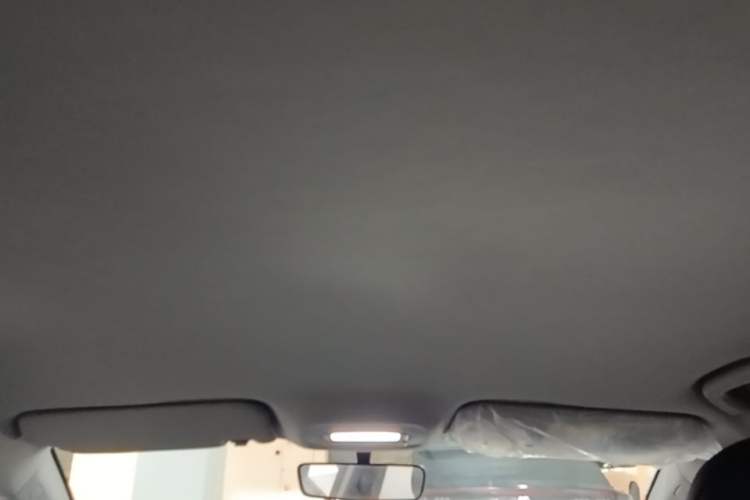 Used Geometry A 2024 410KM Travel Edition Headliner