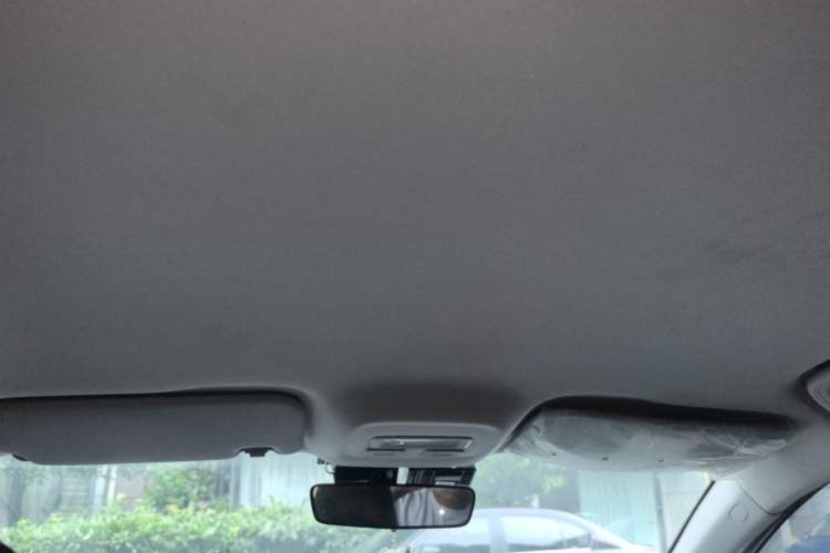 Used Geometry A 2024 410KM Travel Edition Headliner