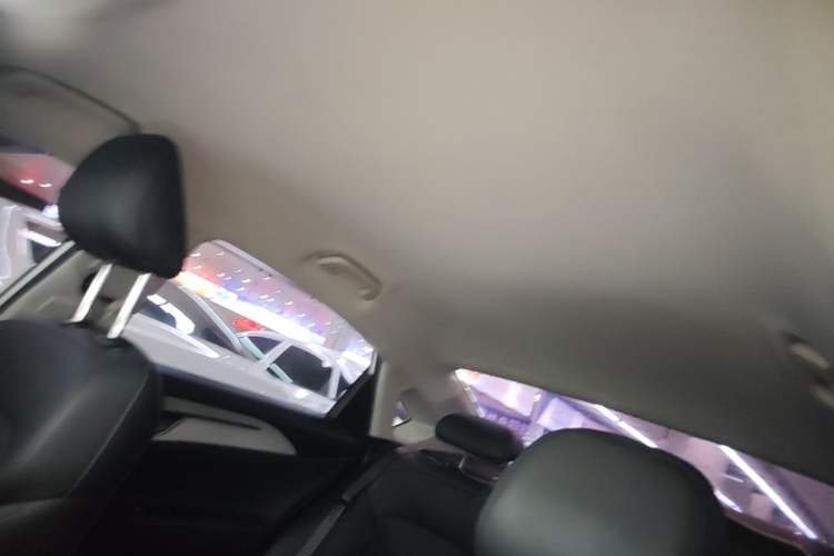 Used Geometry A 2024 410KM Travel Edition Headliner