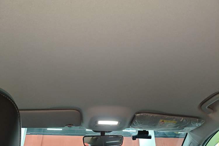 Used Geometry A 2024 410KM Travel Edition Headliner