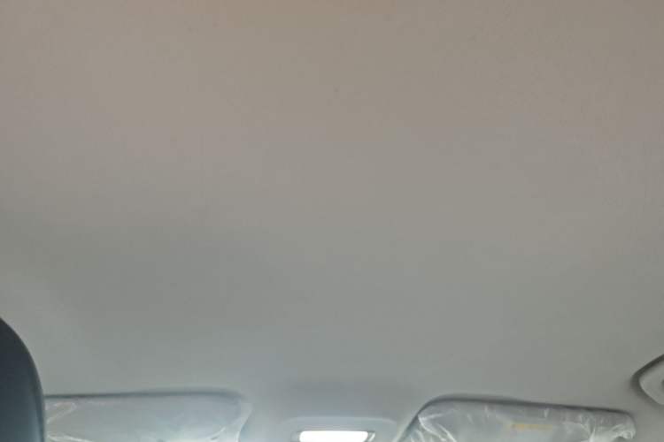 Used Geometry A 2024 410KM Travel Edition Headliner