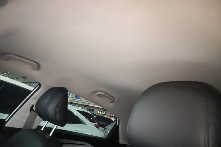 Used Geometry A 2024 410KM Travel Edition Headliner