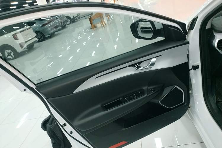 Used Geometry A 2024 410KM Travel Edition Left Front Door Interior