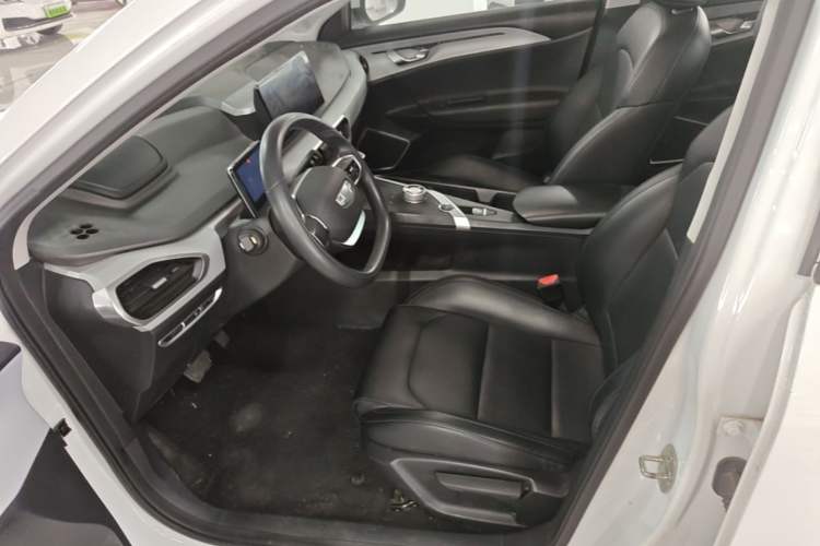 Used Geometry A 2024 410KM Travel Edition Left Front Seat