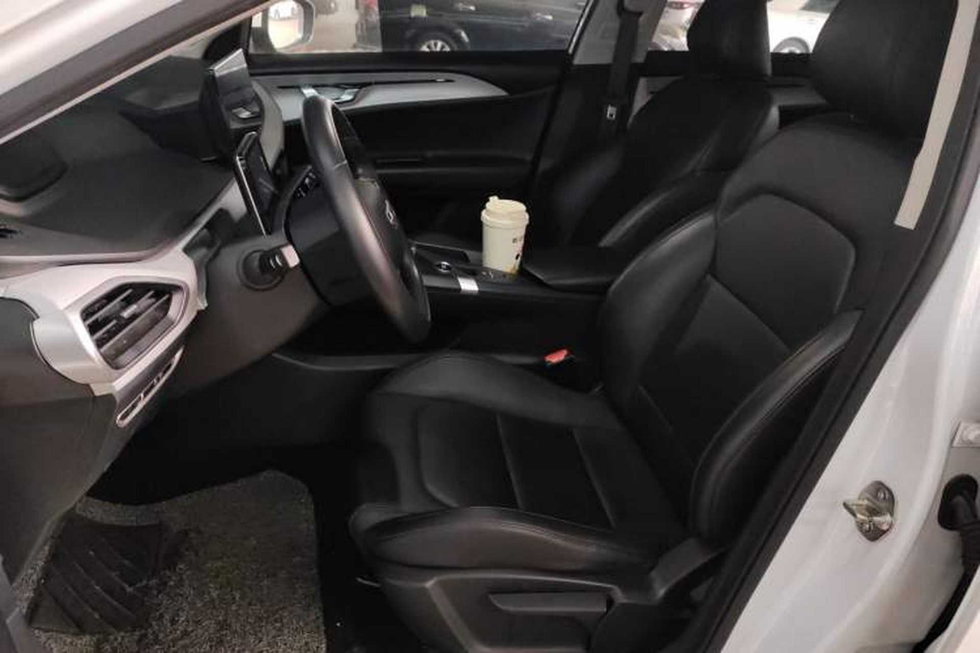 Used Geometry A 2024 410KM Travel Edition Left Front Seat