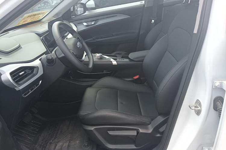 Used Geometry A 2024 500KM Travel Edition Left Front Seat