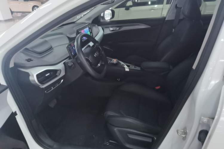 Used Geometry A 2024 410KM Travel Edition Left Front Seat