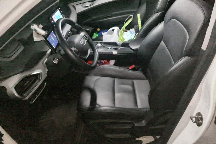 Used Geometry A 2024 410KM Travel Edition Left Front Seat