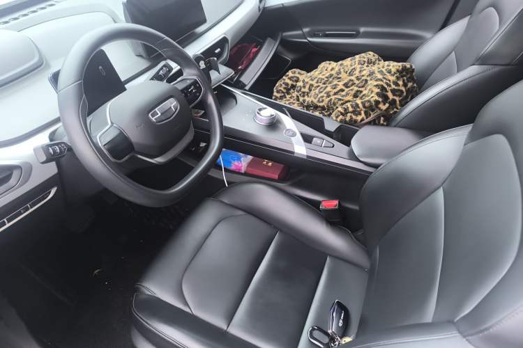 Used Geometry A 2024 410KM Travel Edition Left Front Seat