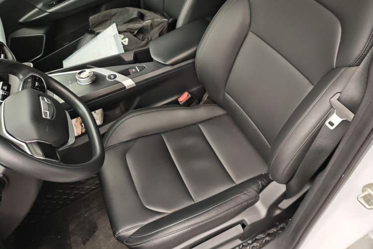 Used Geometry A 2024 500KM Travel Edition Left Front Seat