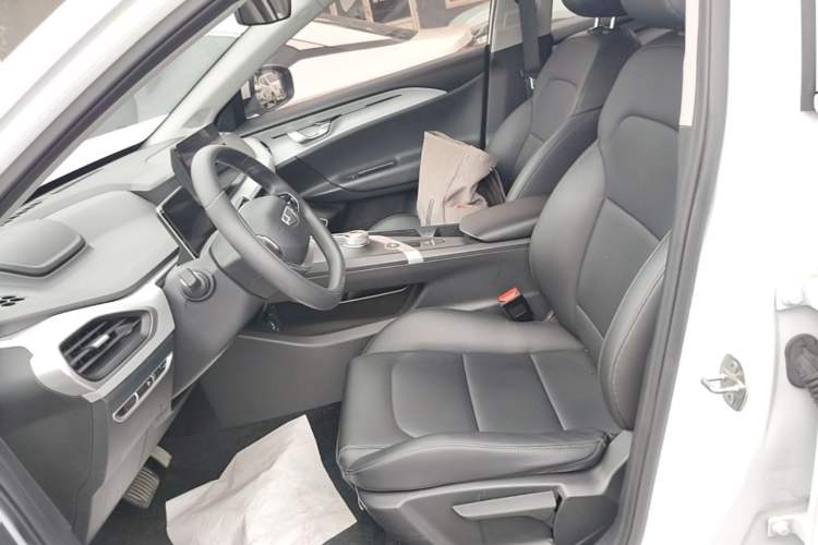 Used Geometry A 2024 410KM Travel Edition Left Front Seat