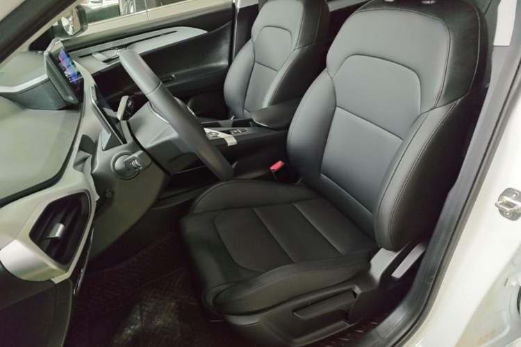 Used Geometry A 2024 410KM Travel Edition Left Front Seat
