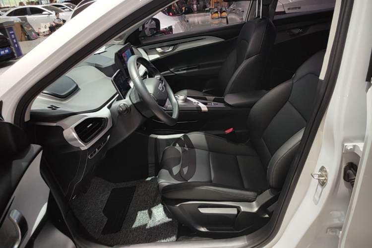Used Geometry A 2024 410KM Travel Edition Left Front Seat