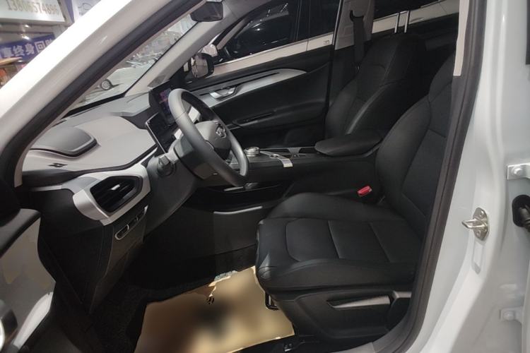Used Geometry A 2024 410KM Travel Edition Left Front Seat