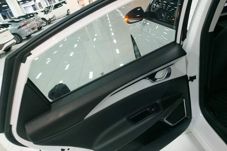 Used Geometry A 2024 410KM Travel Edition Left Rear Door Interior