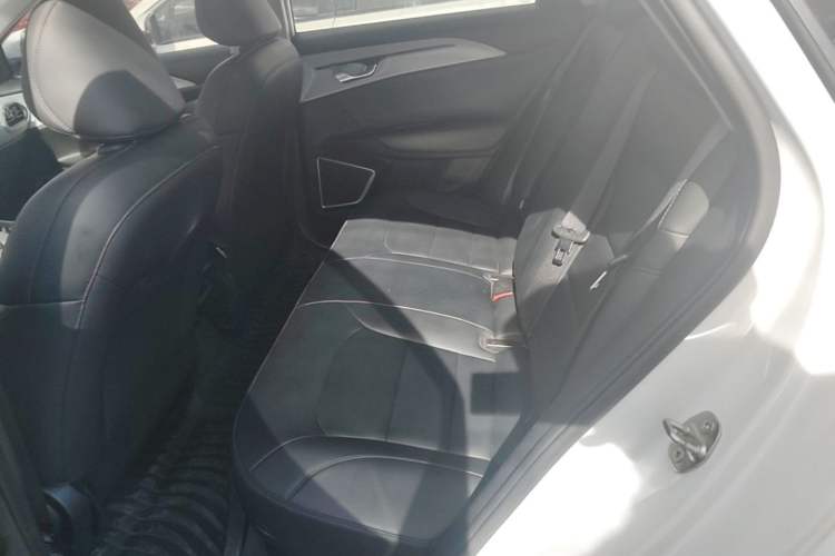 Used Geometry A 2024 410KM Travel Edition Left Rear Seat