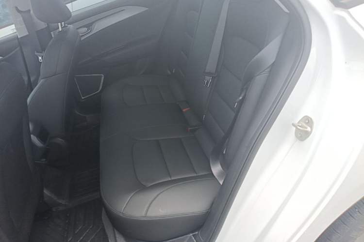 Used Geometry A 2024 500KM Travel Edition Left Rear Seat