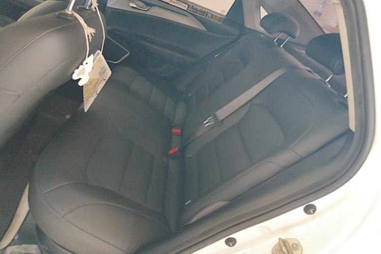 Used Geometry A 2024 500KM Travel Edition Left Rear Seat